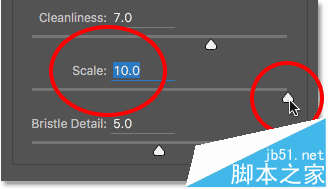 Photoshop CC油画滤镜实例教程讲解28