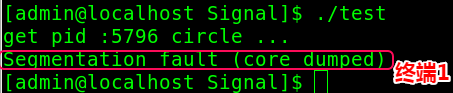 Linux下的信号详解及捕捉信号7