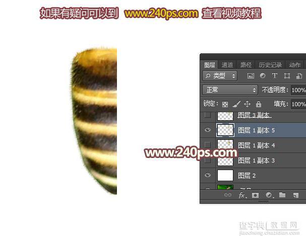 Photoshop制作非常可爱的蜜蜂纹路立体字5