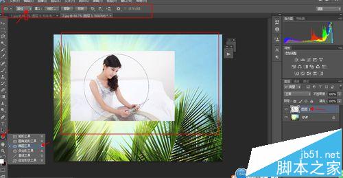 ps矢量蒙版怎么用? PS使用矢量蒙版修图的教程5
