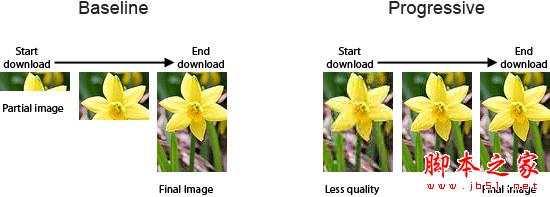 SEO图片优化：web前端图片极限优化策略3