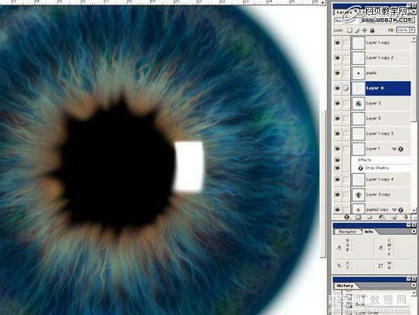 Photoshop将绘制出逼真的眼球效果的鼠绘实例教程20