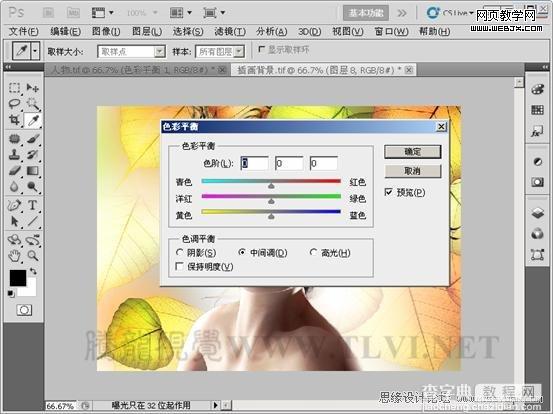 PS入门教程:用色彩平衡命令调整图片色彩的制作方法4