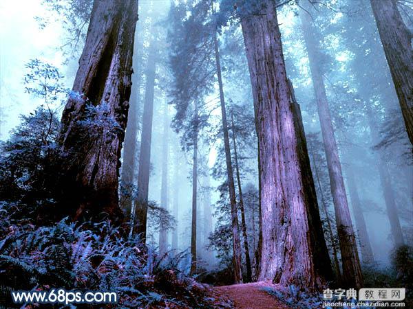 Photoshop制作暗调蓝紫色的森林图片23