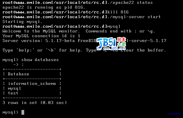 FreeBSD6.2上搭建apache2.2.4+mysql5.1.7+php5.2.1+phpmyadmin9