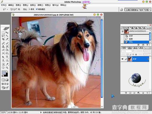 photoshop 利用橡皮及蒙版抠出长毛的小狗5