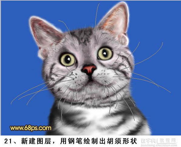 PS将鼠绘出神态逼真可爱的小灰猫19