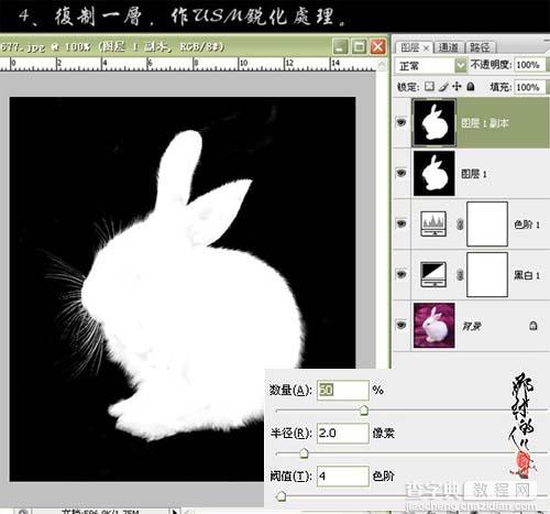 photoshop CS3黑白命令抠出小白兔7