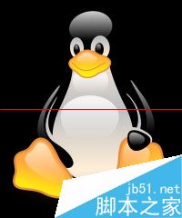 Linux操作系统支持常用的文件系统有哪些？1