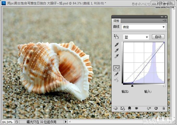 Photoshop制作出低调的沙滩海螺图片的写意效果教程6