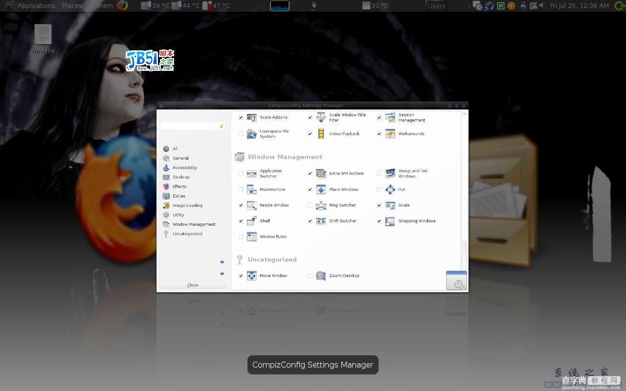 在Ubuntu系统中定制 Compiz Fusion 特效7
