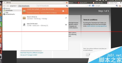 ubuntu怎么放网页音乐？ubuntu安装flash的教程6