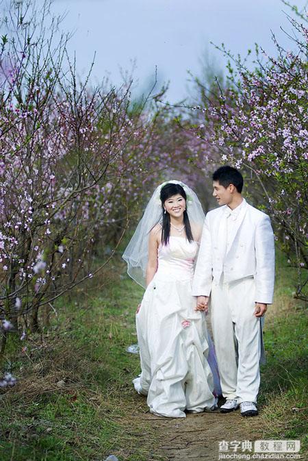 Photoshop将桃林婚片调成艳丽的紫红色1