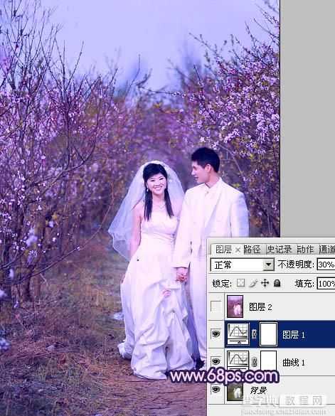 Photoshop将桃林婚片调成艳丽的紫红色11