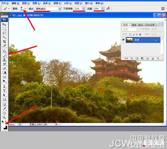 Photoshop下严重偏灰的风景图片修复方法8