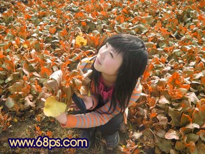 Photoshop 人物照片偏红暖色调5