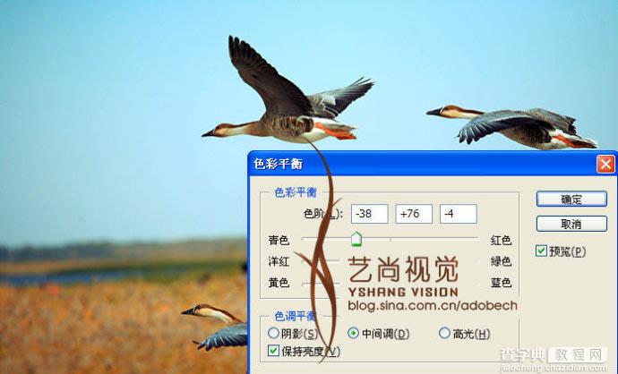 Photoshop 漂亮的青红色大雁起飞图4