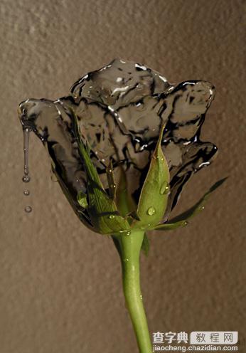 Photoshop设计打造出一朵创意的水玫瑰2