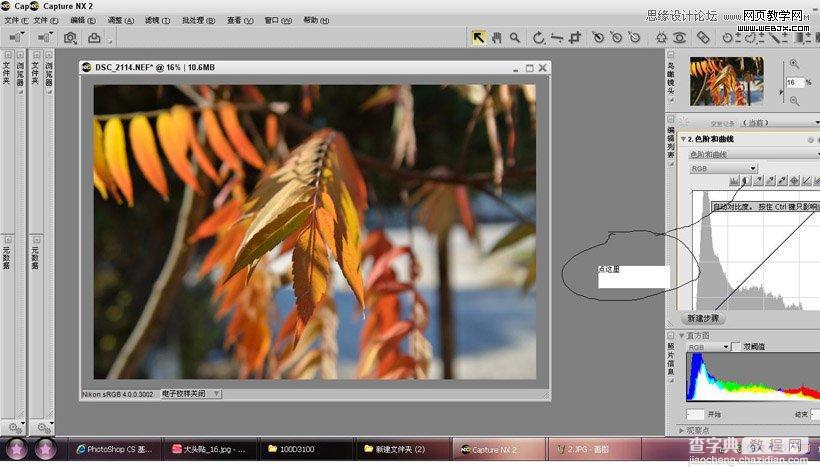 photoshop在LAB模式下通过曲线调整秋季摄影图片效果实例教程5