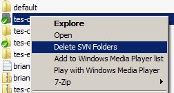 Windows下.svn文件夹的最简易删除方法1