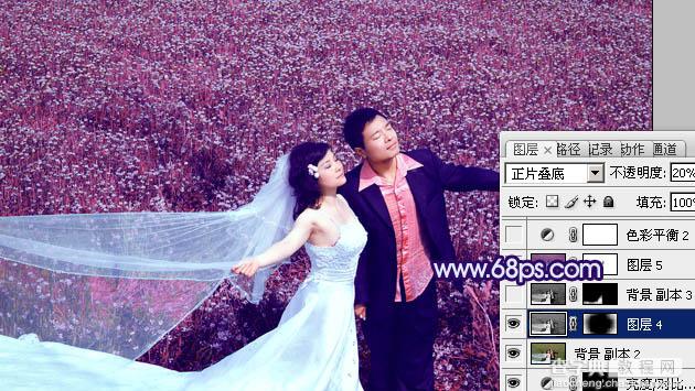 Photoshop将草地婚片调制出柔美的蓝紫色25