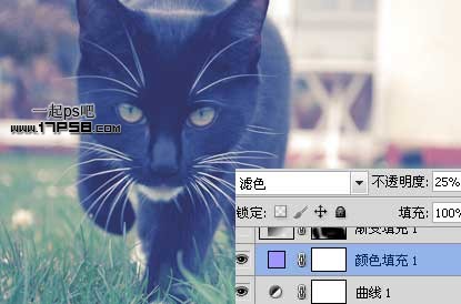 photoshop将可爱的猫咪图片打造出复古老照片效果5