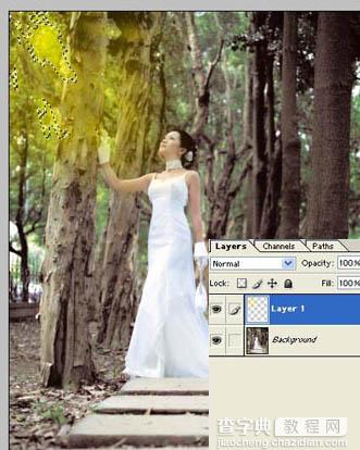 Photoshop为树林照片添加逼真的透视光线效果9