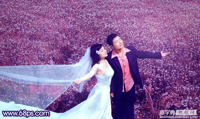 Photoshop将草地婚片调制出柔美的蓝紫色2