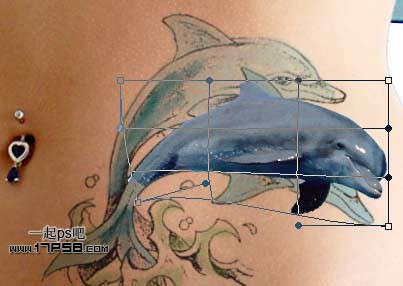 photoshop制作出漂亮的海豚立体纹身效果10