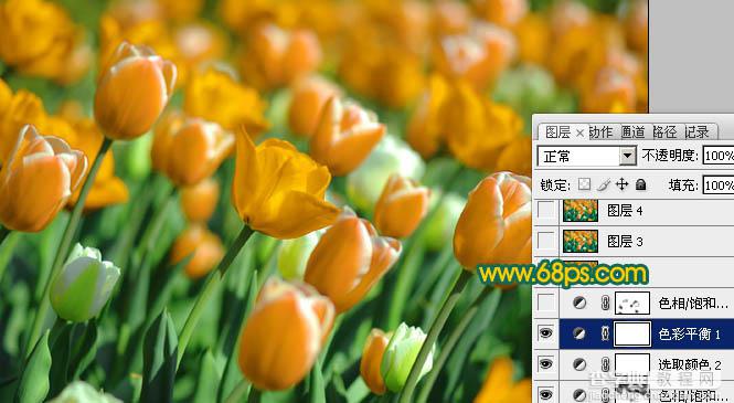 Photoshop制作鲜丽的橙黄色郁金香图片15