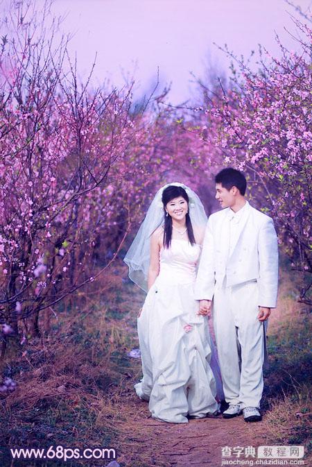 Photoshop将桃林婚片调成艳丽的紫红色2