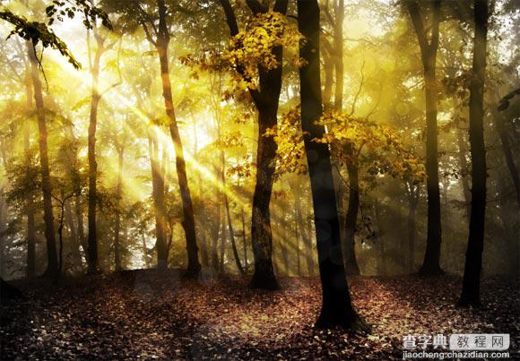 Photoshop为树林图片添加上高清的投射光束效果13