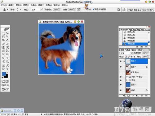 photoshop 利用橡皮及蒙版抠出长毛的小狗13