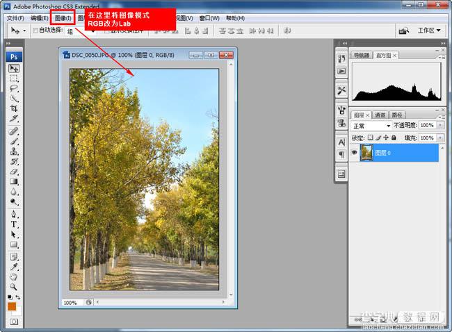 Photoshop快速为树林图片增加艳丽的秋季色效果3