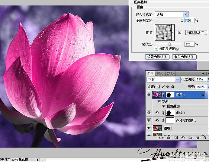 Photoshop将荷花特写图片打造出高清的暗紫色效果7