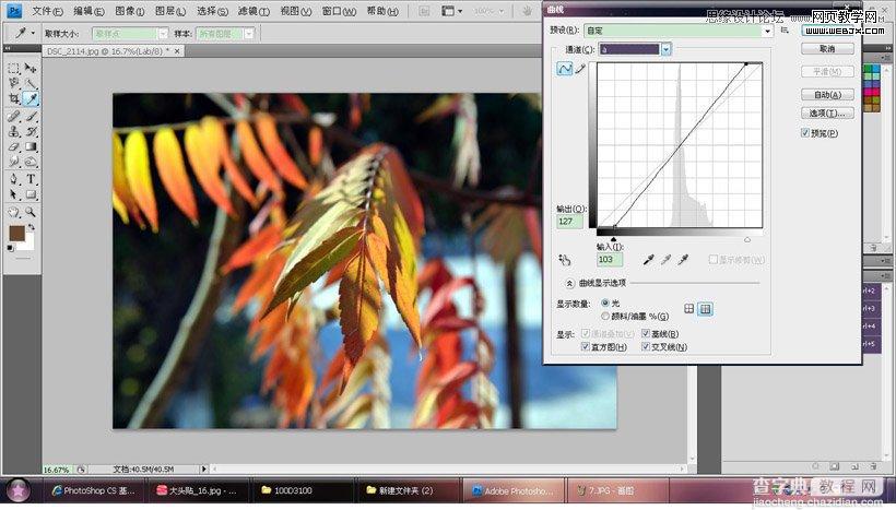 photoshop在LAB模式下通过曲线调整秋季摄影图片效果实例教程10