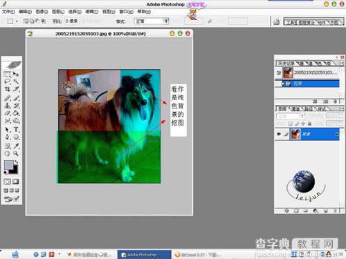 photoshop 利用橡皮及蒙版抠出长毛的小狗4