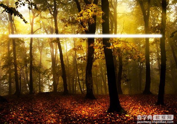 Photoshop为树林图片添加上高清的投射光束效果9