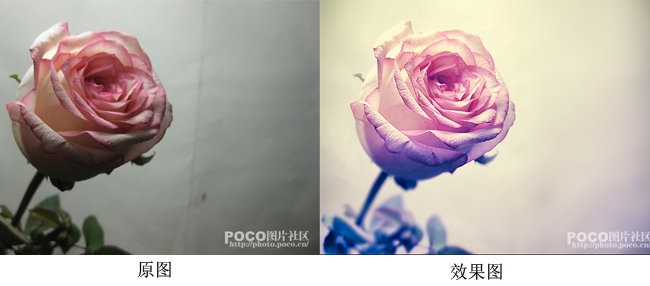 photoshop调出唯美清新的花朵图片2