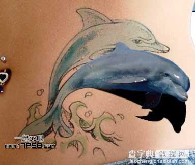 photoshop制作出漂亮的海豚立体纹身效果16