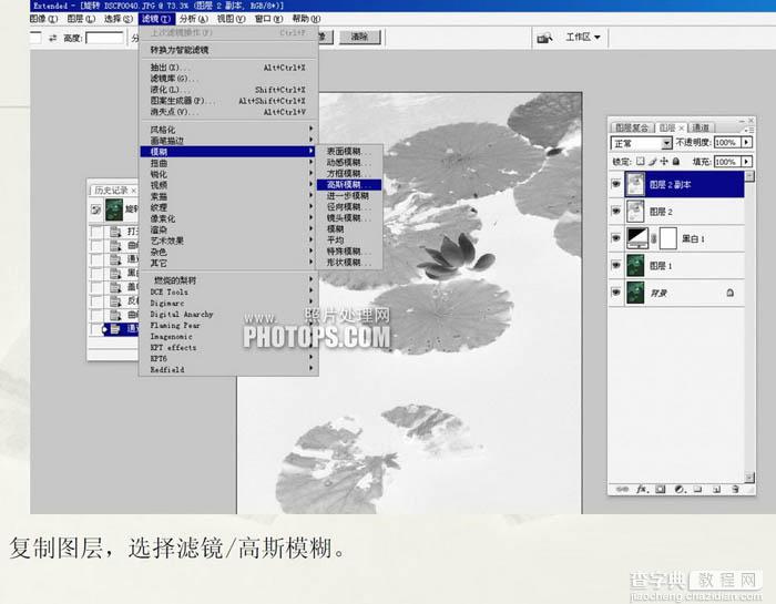 Photoshop将普通的荷叶图转成经典水墨画效果7