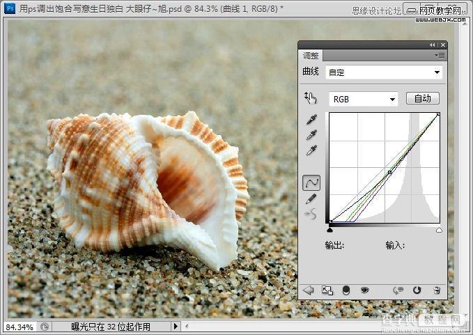 Photoshop制作出低调的沙滩海螺图片的写意效果教程3