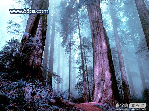 Photoshop制作暗调蓝紫色的森林图片27
