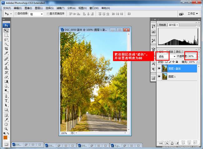 Photoshop快速为树林图片增加艳丽的秋季色效果6