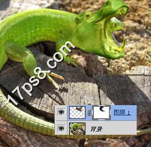 photoshop将蜥蜴与河马合制成一种动物的效果7