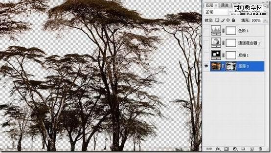 photoshop 利用反相操作快速抠出复杂的树木6