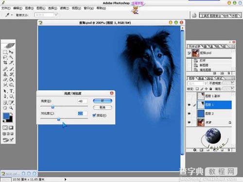 photoshop 利用橡皮及蒙版抠出长毛的小狗8