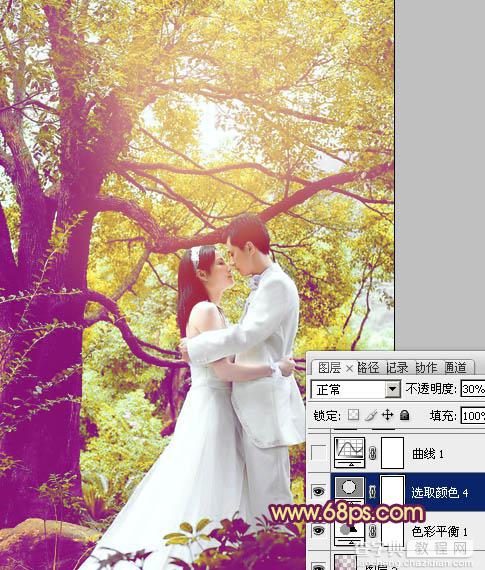Photoshop将树林婚片增加上柔美的黄紫色效果22