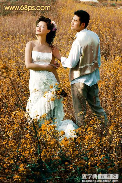 Photoshop制作柔和的金色花朵背景婚片25