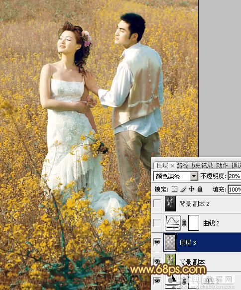 Photoshop制作柔和的金色花朵背景婚片18